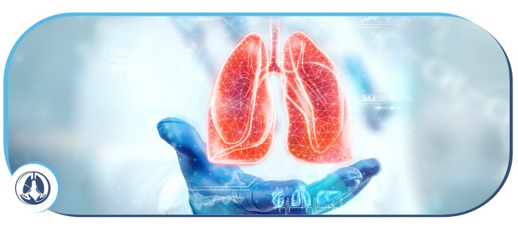 Lung Doctor Near Me in Hallandale Beach, FL Lung Doctor Near Me in Hallandale Beach, FL